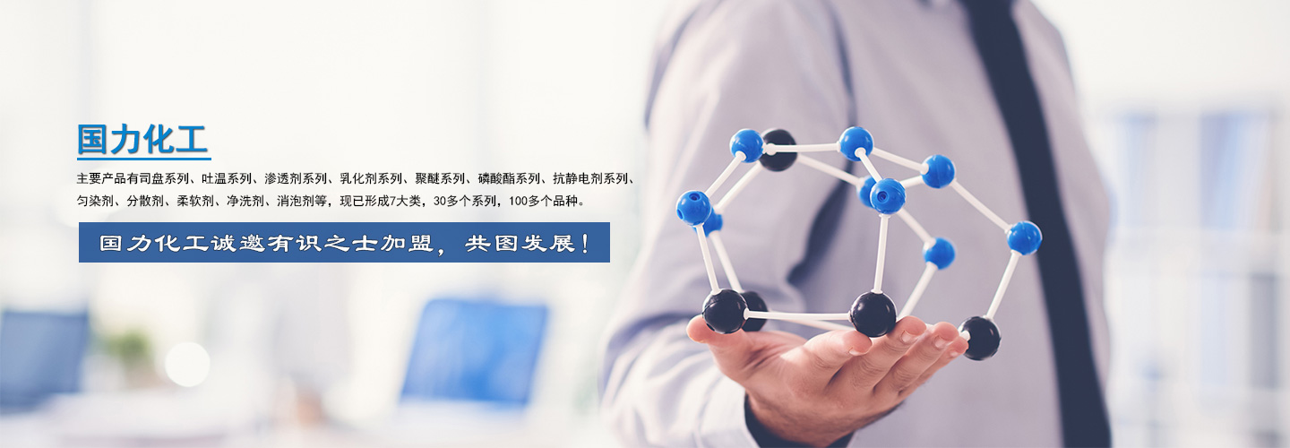 海安縣國力化工有限公司